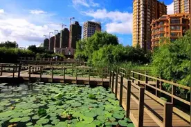 哈尔滨人最爱逛的绝美公园！看完我就hold不住了！图片