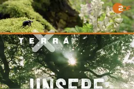 植树节，让我们来谈谈植物界纪录片图片