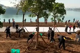 我国第40个植树节来临 全国各地积极开展植树造林活动视频封面