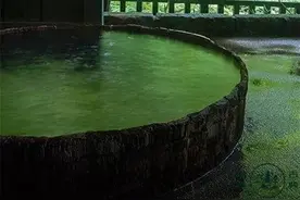 世界上最美的短诗，一生至少读一次！图片