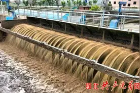 曹妃甸区召开污水处理厂和污水纳网工作汇报会图片