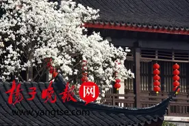 常州发布今年第7号花情预报：梅花渐退场 桃花笑春风图片