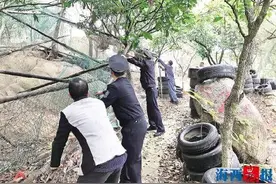 违法“农家乐”等破坏东坪山环境 已开展集中整治图片
