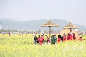 春来安仁好热闹图片
