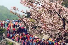 旅游旺季来临 “赏花踏青游”最受泰安市民青睐图片