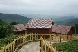 摘蔬菜赏花钓鱼 去重庆这些农场体验生活吧图片