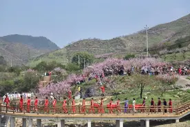 金东源东：人面桃花相映红图片