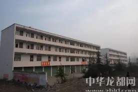 东新区许湾乡依法拆除弘瑞化肥厂图片