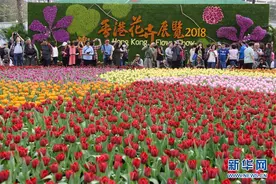2018年香港花展开幕图片