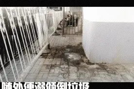 「说吧」吐痰、便溺、扔烟头是你的Style吗？图片