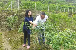 设计师解甲归田兜售新生活方式 小山坳里的创业工场图片