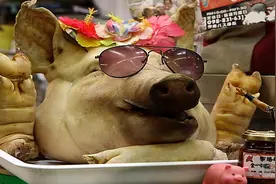 为什么现在很多人，都爱吃猪头肉？到底有什么好处呢？视频封面
