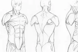 初学者如何学画漫画｜零基础手绘插画教程视频封面