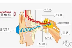 跑步中的小确幸：AfterShokz韶音AS600 TrekzTianium骨传导运动耳机使用评测图片
