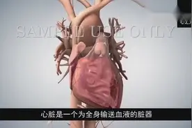 急性冠脉综合征和心肌梗死视频封面