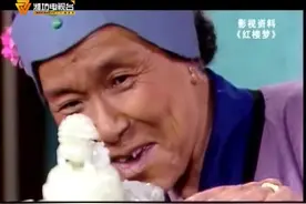 王蒙解读《红楼梦》刘姥姥三进大观园谁耍谁的猴！视频封面