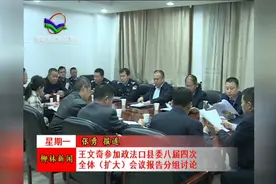 王文奇参加政法口县委八届四次全体（扩大）会议报告分组讨论视频封面