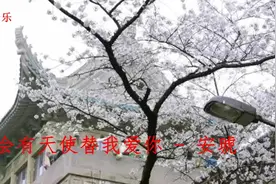 会有天使替我爱你  我想我的脚步已不能停 要去山顶看很美的风景视频封面