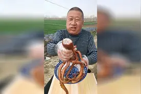 八爪鱼头里，长得像大米一样的东西是什么啊视频封面