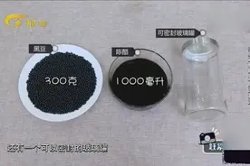 减肥绝招！黑豆这样吃，既能让你变身魔鬼身材还能祛湿哦视频封面