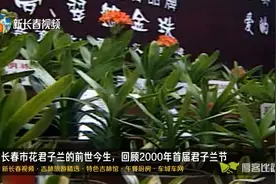长春市花君子兰的前世今生，回顾2000年首届君子兰节视频封面
