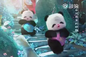开口嘎嘣脆，史上最萌成都宣传片《胖娃儿上成都》视频封面
