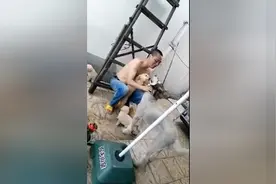 一叫开饭，狗狗的亲热劲就上来了图片
