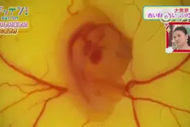 不敢相信，没有蛋壳的鸡蛋也能孵出小鸡？图片