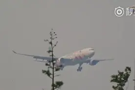 长荣航空hello kitty！重点的是国航两大亮点！图片