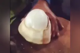 椰子竟然还能这么吃，直接削皮，考验刀工，涨知识了图片