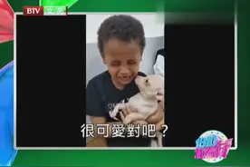 萌宝萌宠一箩筐 让你笑到吐血图片