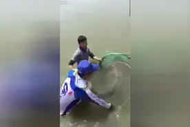 钓到一条大鱼，两个人下水才给弄上岸，岸上的人乱哄哄的围作一团图片