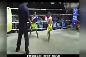 碉堡了！8岁泰拳神童高扫KO对手图片