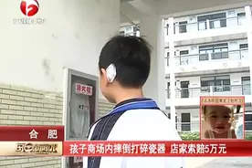 熊孩子商场内摔倒打碎瓷器，店家索赔5万元视频封面