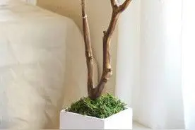 DIY纸玫瑰树 餐桌情意浓图片