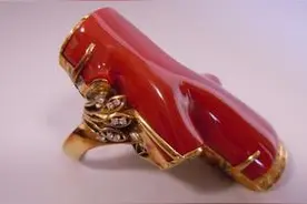 红珊瑚竟有这么多种图片