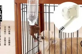 每只狗狗都必备的饮水器，让喝水变成一件有趣的事！图片