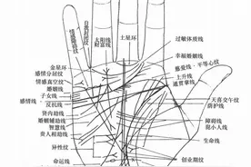 手纹里其他的一些实用“线”图片