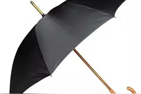 世界名伞介绍图片