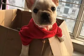 千里迢迢只为遇见你图片
