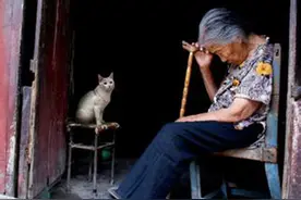 养个宠物 有益于老人的心理健康图片