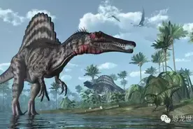 恐龙Dinosaur概述五图片