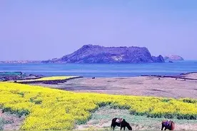 济州岛旅游被拒签该怎么办?防拒签攻略是什么?图片