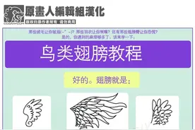 动漫鸟类翅膀绘画参考图片