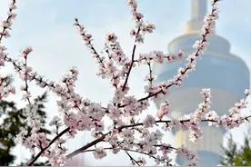 秋裤与短裤齐飞！全国乱穿衣预警地图出炉 今天你乱了吗？图片