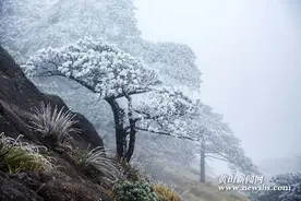 受雨雪天气影响黄山西海大峡谷临时封闭 观光缆车同期停止营业图片