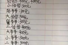 11岁男孩记下好心人给重病母亲的156笔捐款：长大好报答图片
