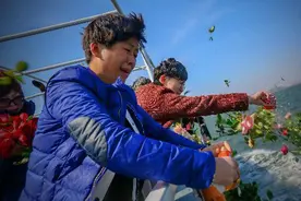 潍坊市组织第二次海葬服务活动公告图片