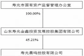 山东晨鸣纸业集团股份有限公司2017年年度报告摘要图片