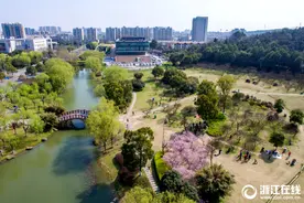 长兴花香浮动 正是踏青好时节图片